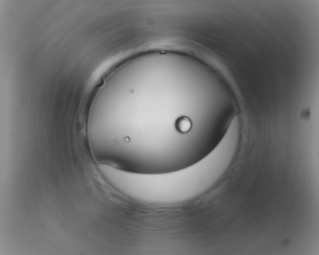 X0000113951328200910161930