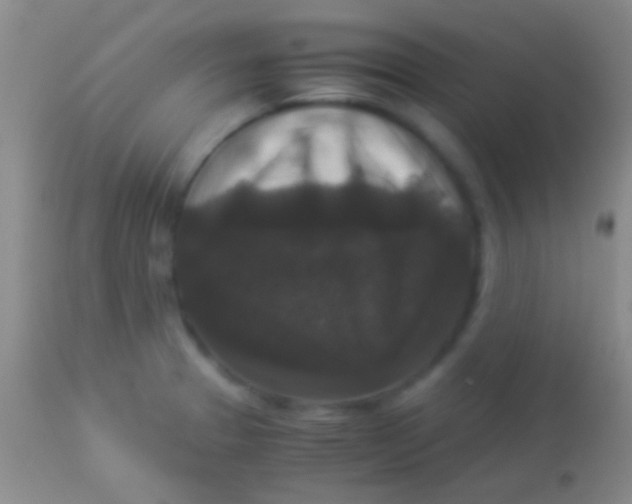 X0000113951329200910161930
