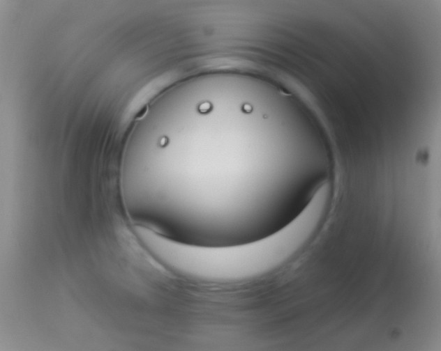 X0000113951330200910161930