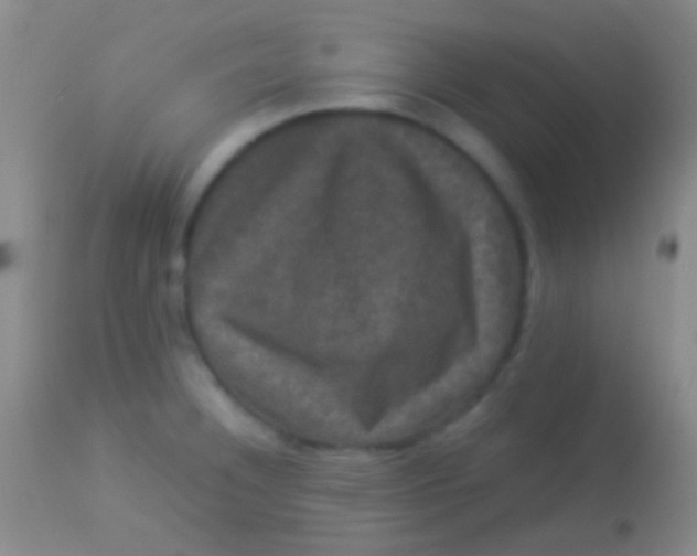 X0000113951332200910161930