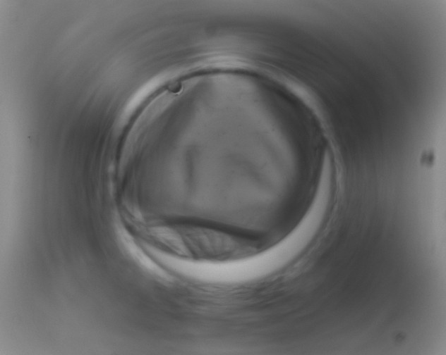 X0000113951334200910161930