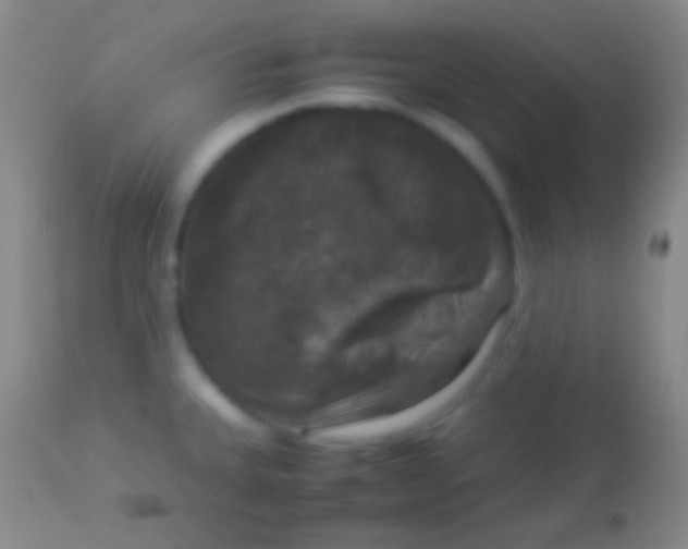 X0000113951335200910161930