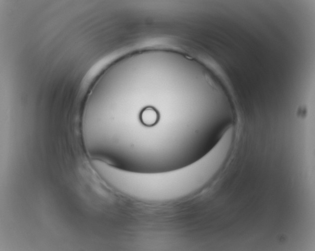 X0000113951336200910161930