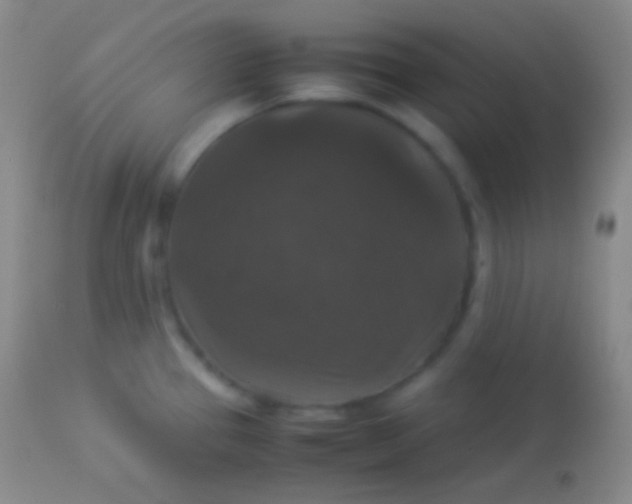 X0000113951337200910161930
