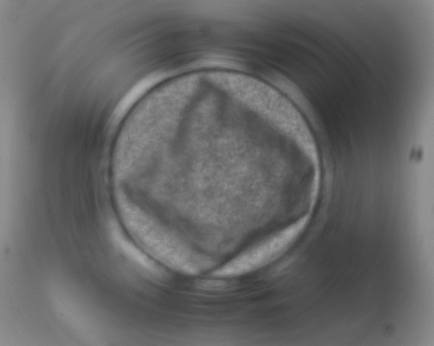 X0000113951339200910161930