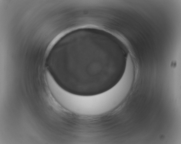 X0000113951340200910161930