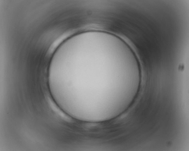 X0000113951341200910161930
