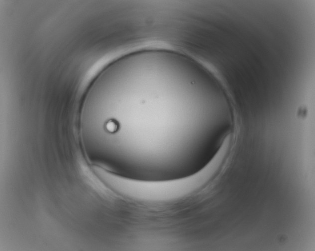 X0000113951342200910161930