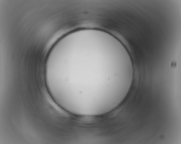 X0000113951343200910161930