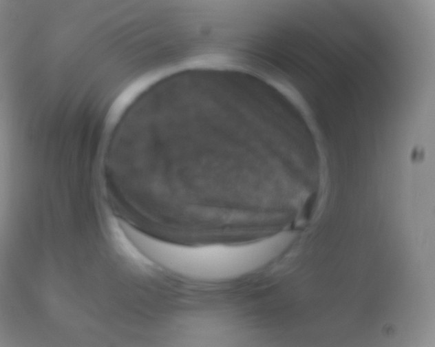 X0000113951344200910161930