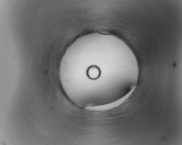 X0000113951345200910161929