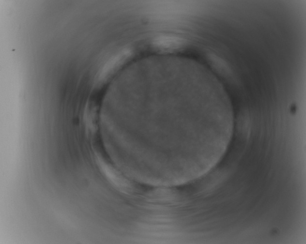 X0000113951346200910161929