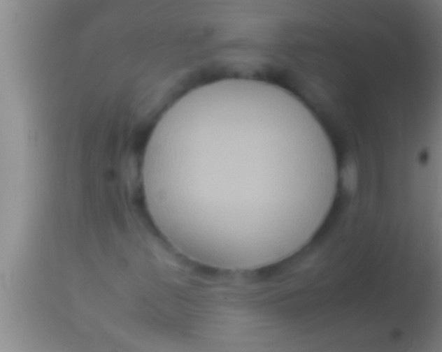 X0000113951347200910161929