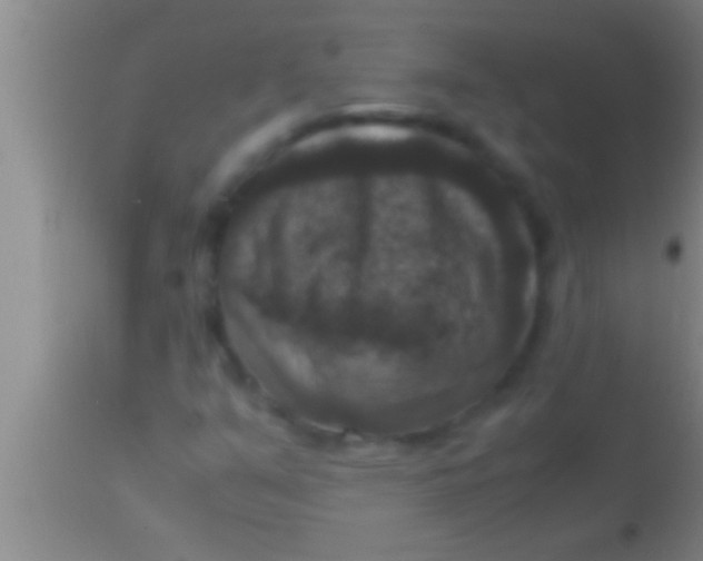 X0000113951351200910161929