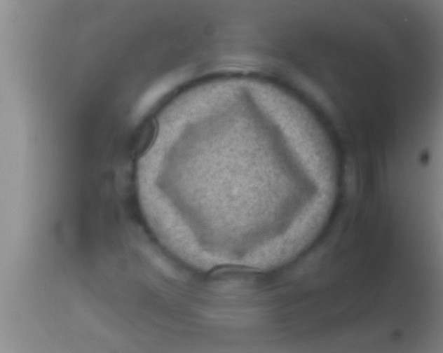 X0000113951352200910161929