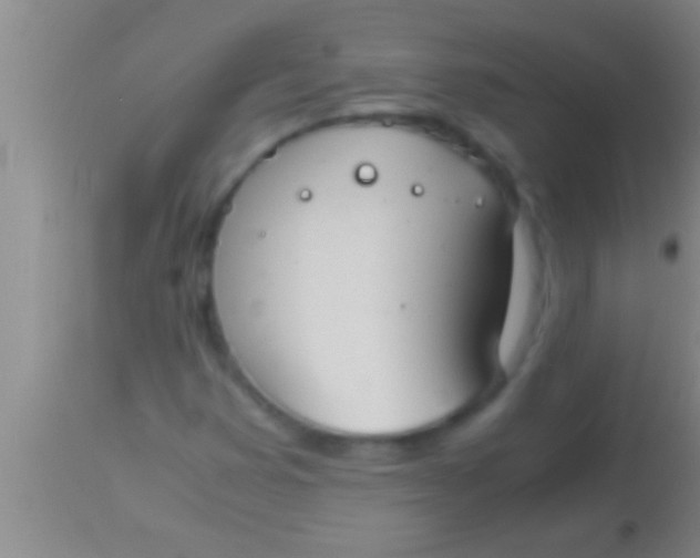 X0000113951353200910161929