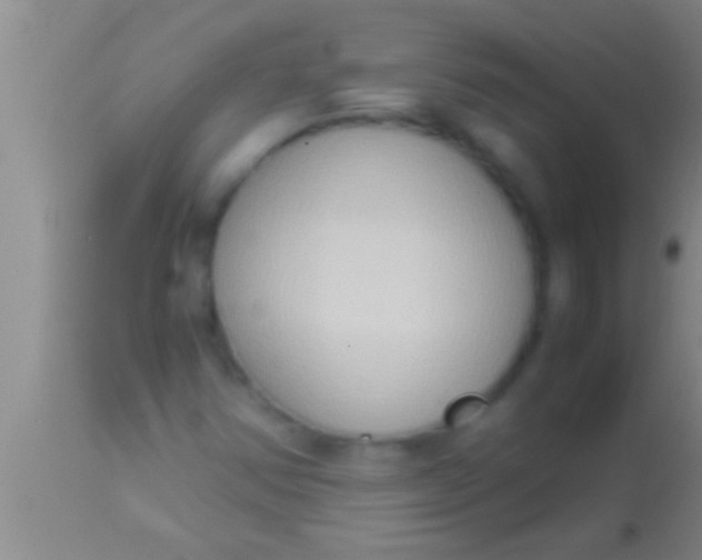 X0000113951354200910161929
