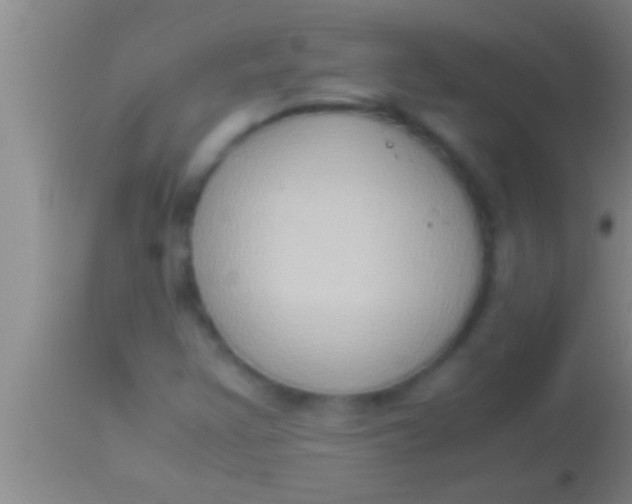 X0000113951355200910161929