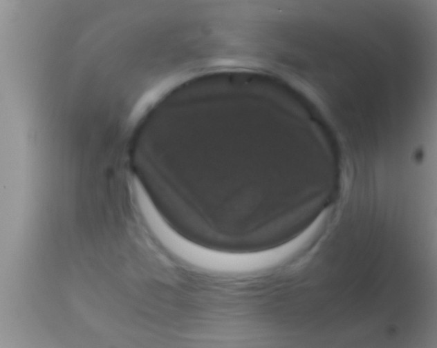 X0000113951357200910161929