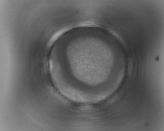 X0000113951358200910161929