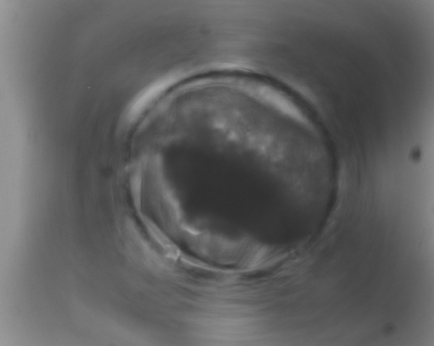 X0000113951359200910161929