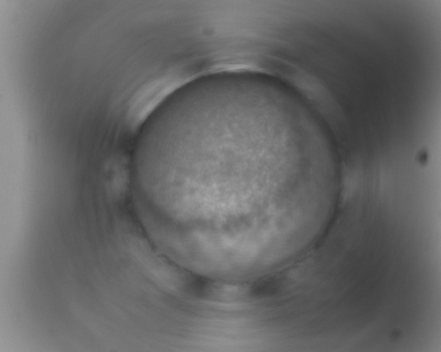 X0000113951361200910161929