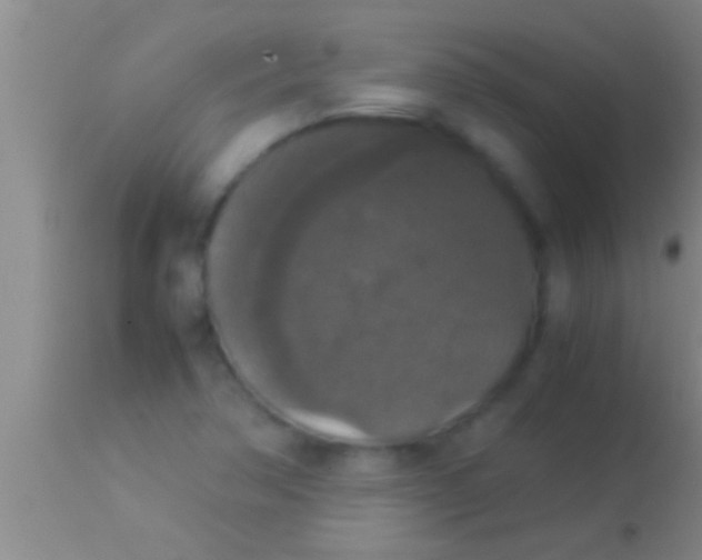 X0000113951362200910161929