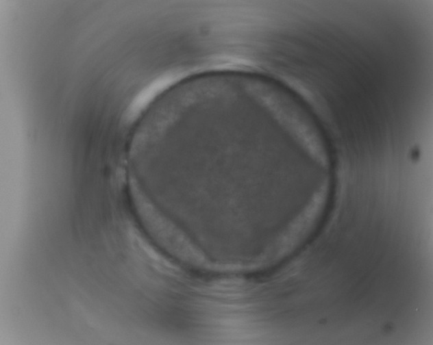 X0000113951363200910161929