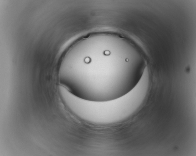 X0000113951364200910161929