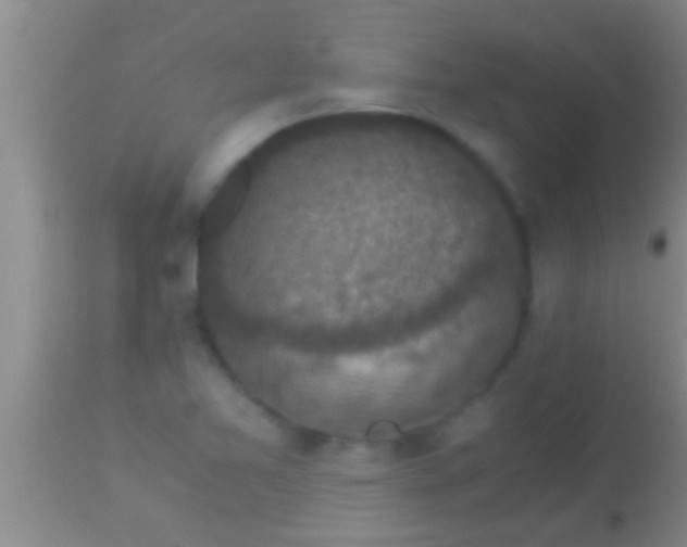 X0000113951365200910161929