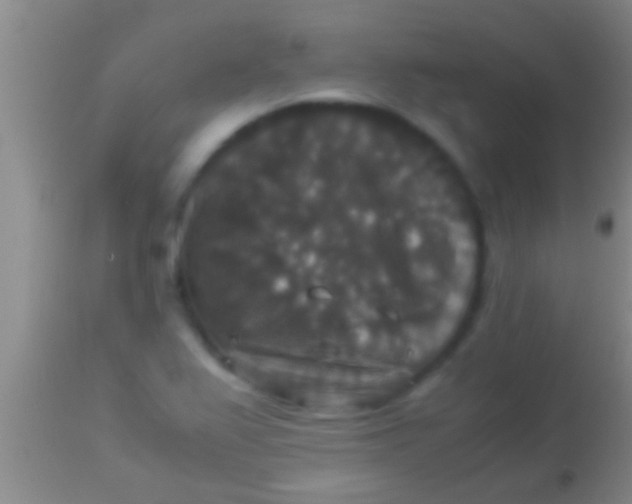 X0000113951367200910161929