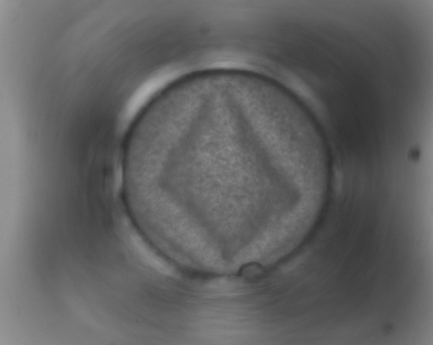 X0000113951368200910161929