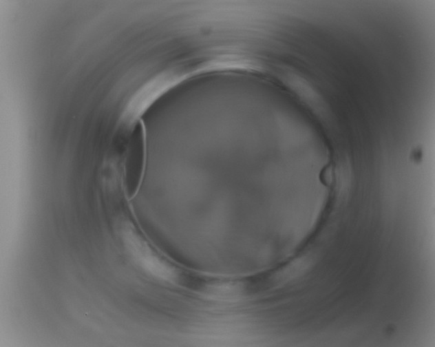 X0000113951369200910161929