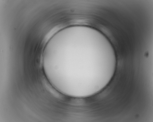 X0000113951370200910161929