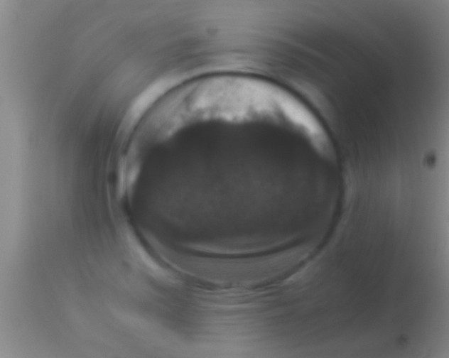 X0000113951371200910161929