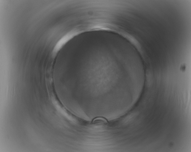 X0000113951373200910161929