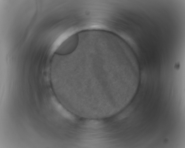 X0000113951374200910161929