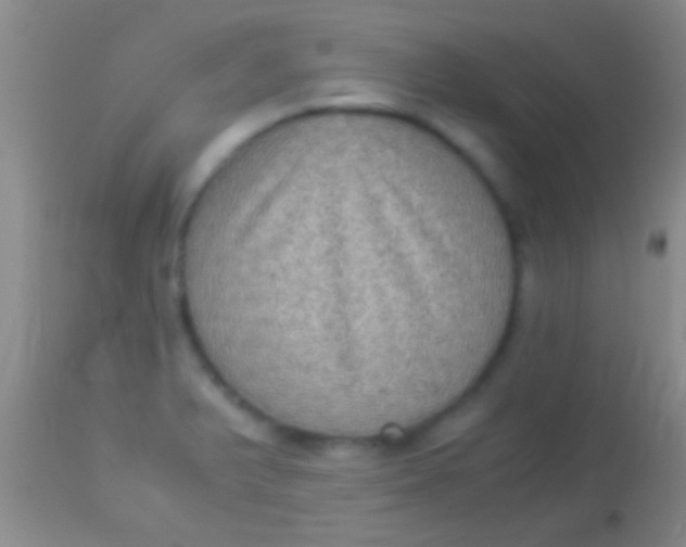 X0000113951375200910161929