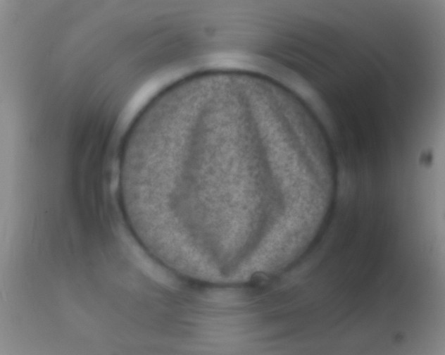 X0000113951376200910161929