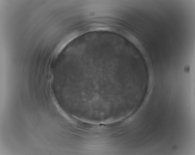 X0000113951377200910161929