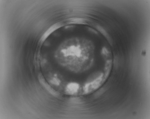 X0000113951378200910161929