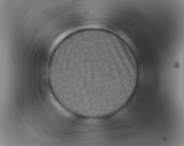 X0000113951380200910161929