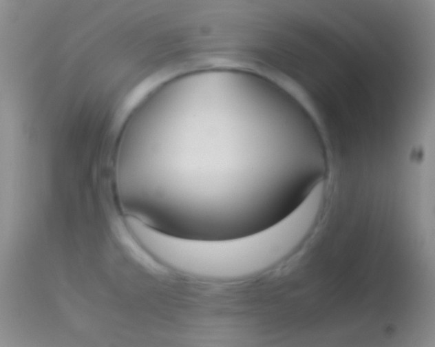 X0000113951381200910161929
