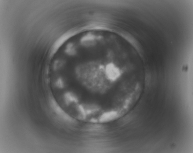 X0000113951382200910161929