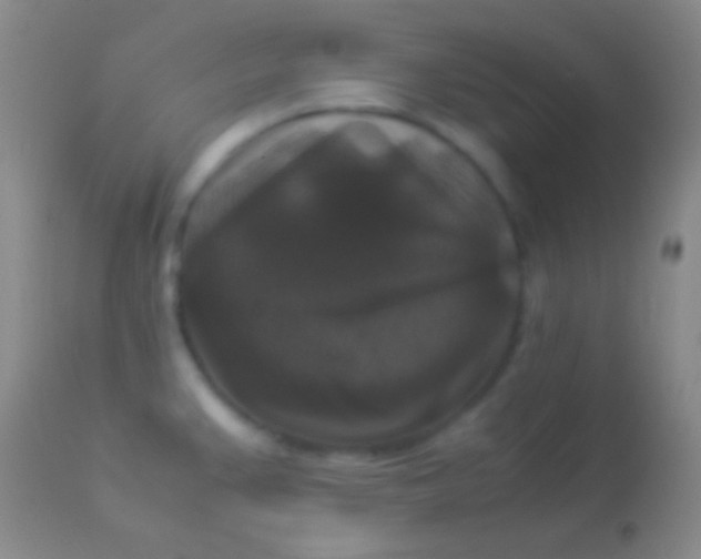 X0000113951383200910161929