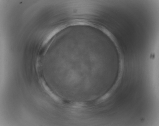X0000113951385200910161929