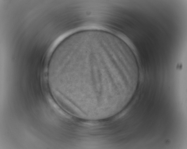 X0000113951388200910161928