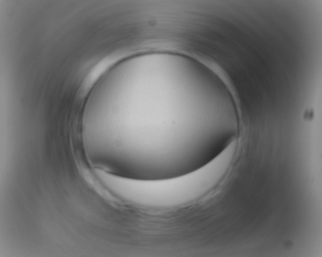X0000113951389200910161928