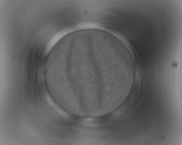 X0000113951390200910161928