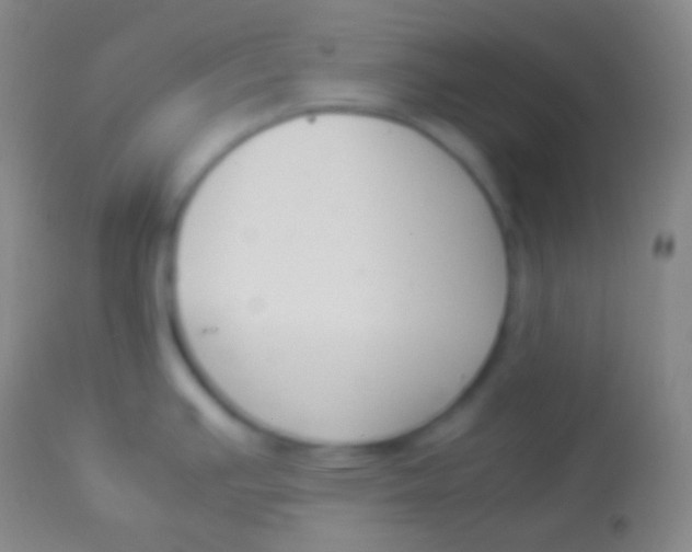 X0000113951391200910161928